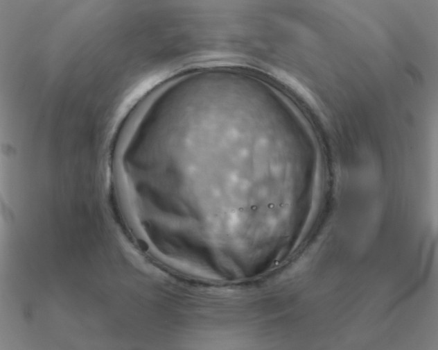 X0000090631413200708071236