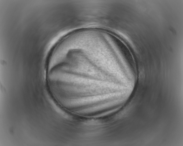 X0000090631414200708071236