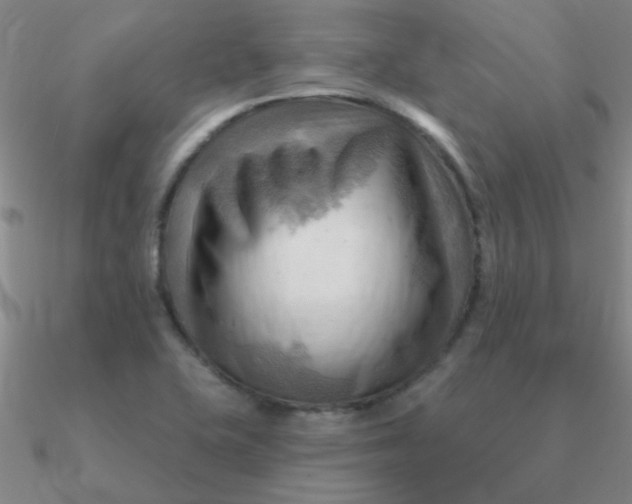 X0000090631415200708071236