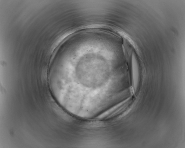 X0000090631417200708071236