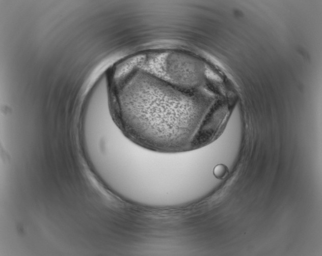 X0000090631418200708071236