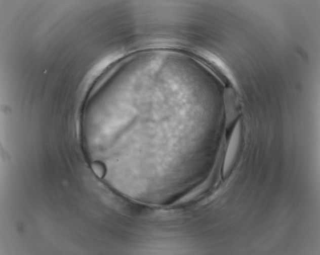 X0000090631419200708071236