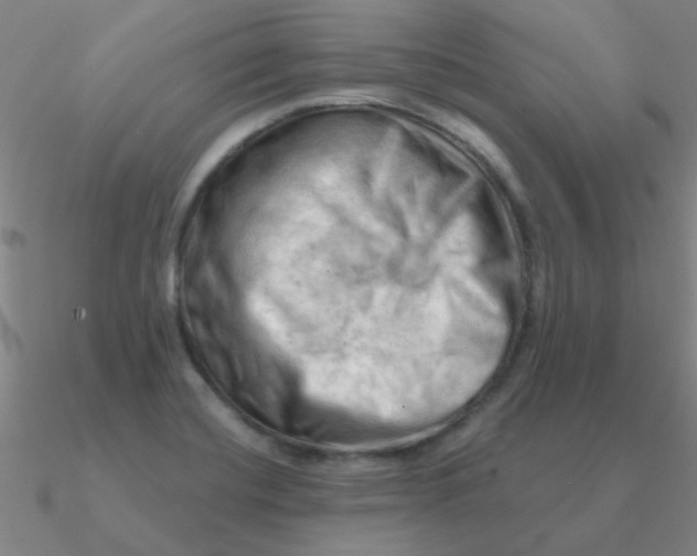 X0000090631420200708071236