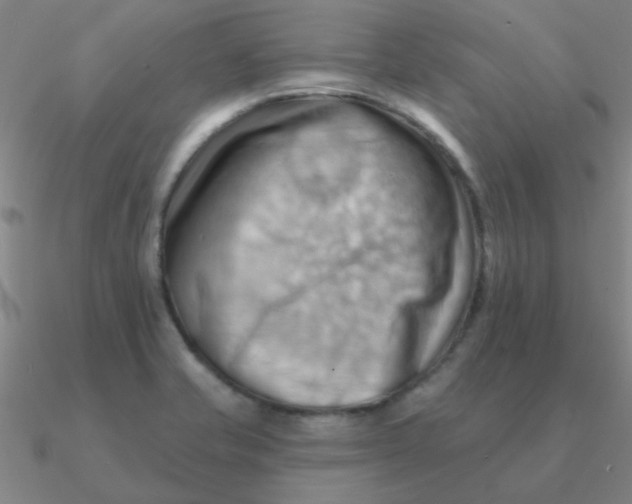 X0000090631421200708071236