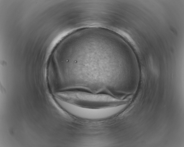 X0000090631424200708071236