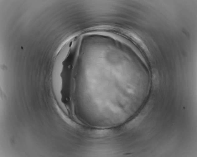 X0000090631425200708071236