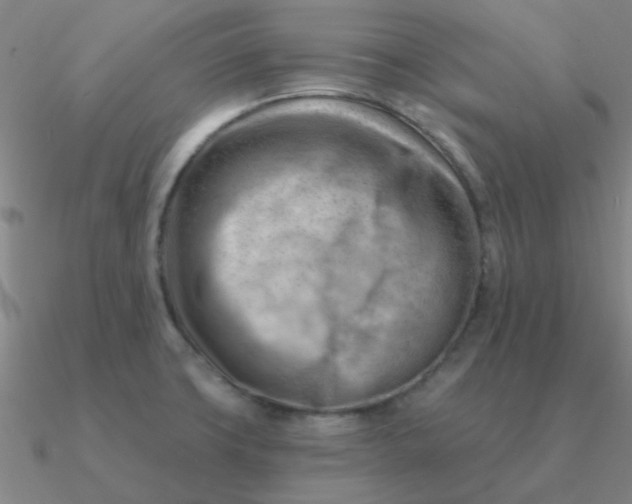 X0000090631427200708071236