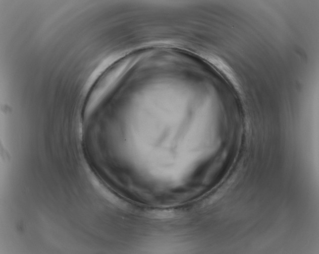 X0000090631428200708071236