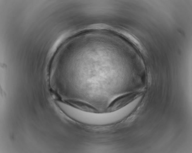 X0000090631430200708071236