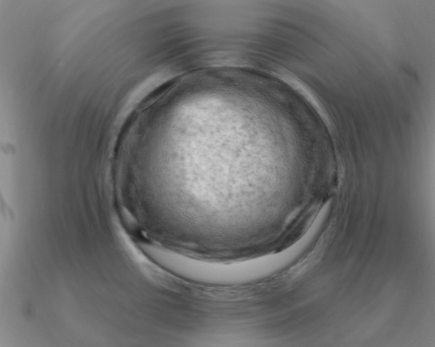 X0000090631434200708071237