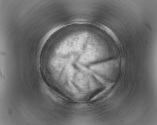 X0000090631435200708071237