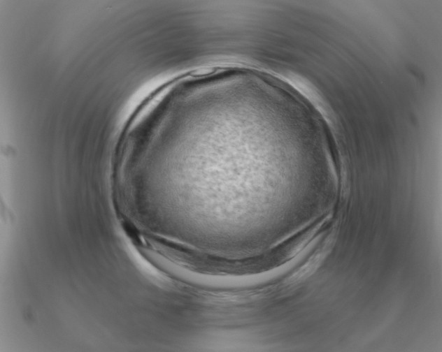 X0000090631438200708071237