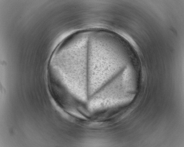 X0000090631439200708071237