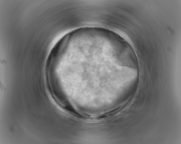 X0000090631440200708071237