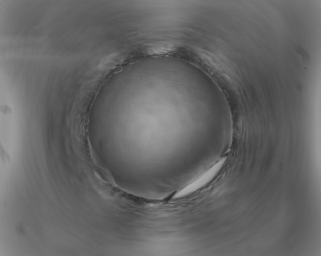 X0000090631441200708071236