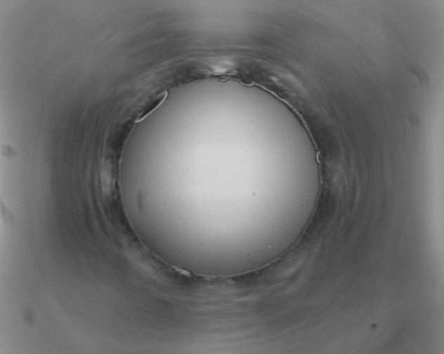 X0000090631442200708071236