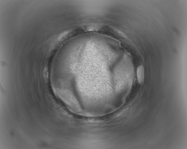 X0000090631443200708071236