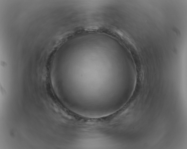 X0000090631445200708071236