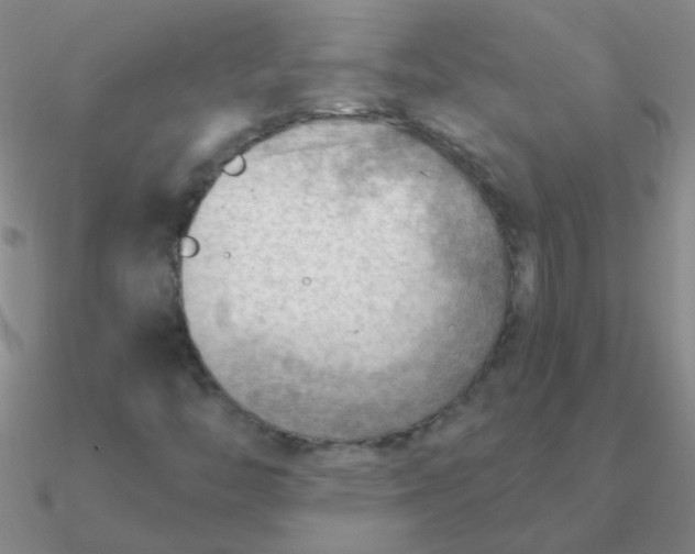 X0000090631446200708071236