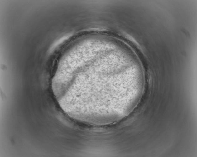 X0000090631448200708071236