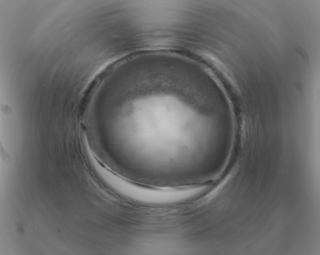 X0000090631449200708071236