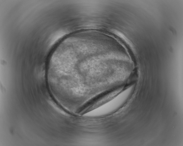 X0000090631450200708071236