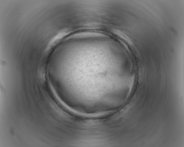 X0000090631451200708071236