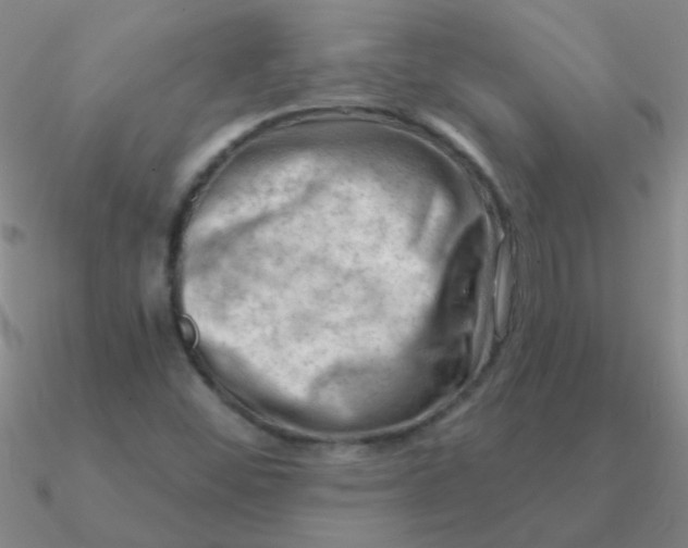 X0000090631452200708071236