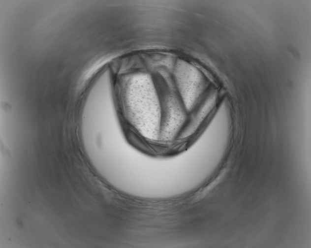 X0000090631453200708071236