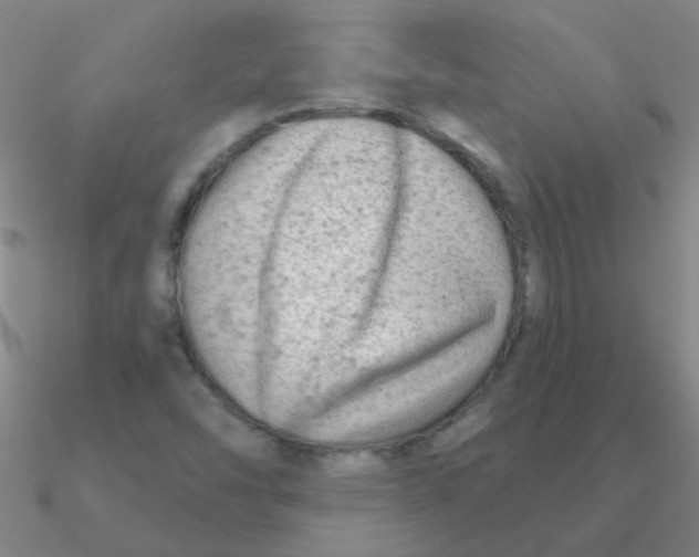 X0000090631454200708071236