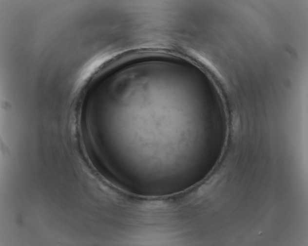 X0000090631455200708071236