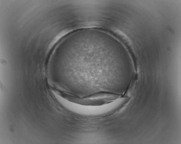 X0000090631457200708071236