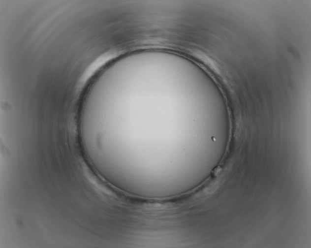 X0000090631458200708071236