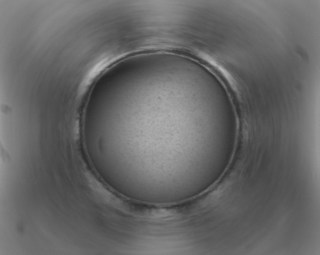 X0000090631459200708071236