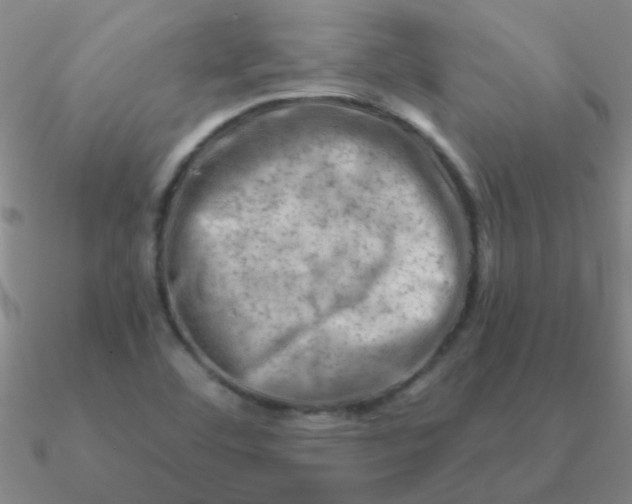 X0000090631460200708071236