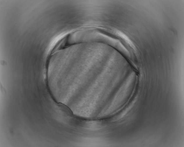 X0000090631461200708071236