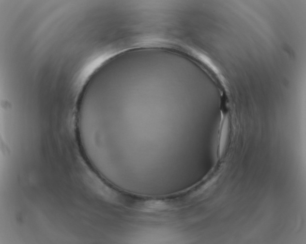 X0000090631463200708071235