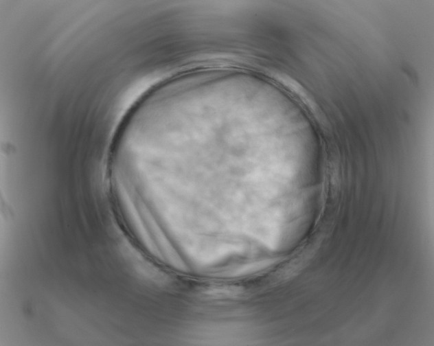 X0000090631466200708071235