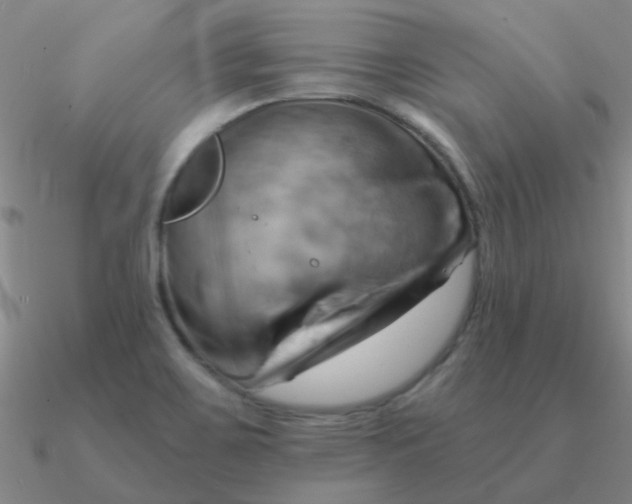 X0000090631467200708071235