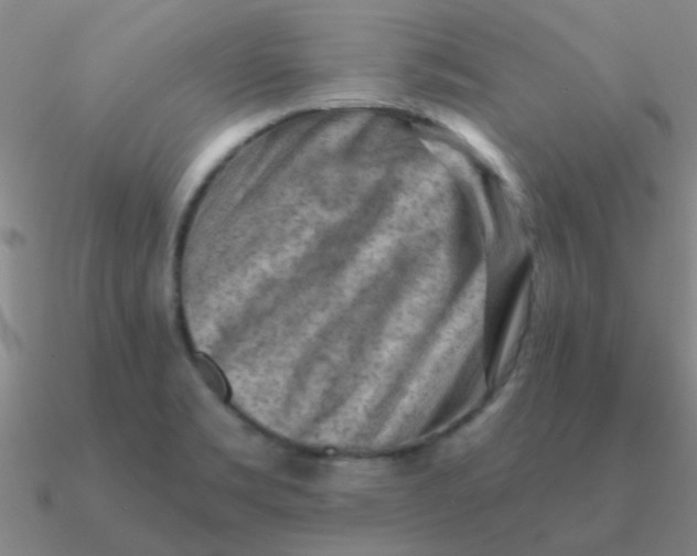 X0000090631469200708071235