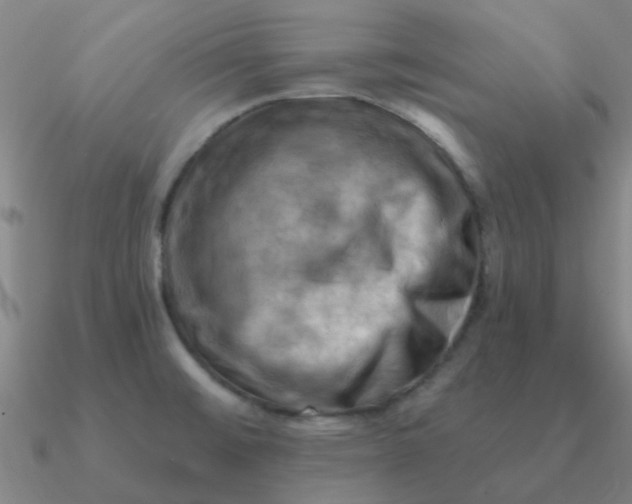 X0000090631476200708071235