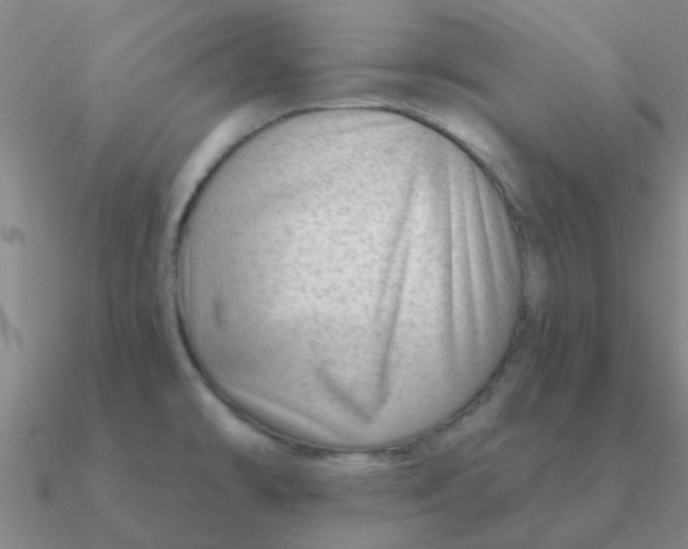 X0000090631478200708071235