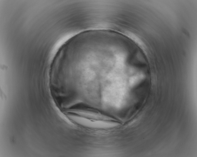 X0000090631480200708071235