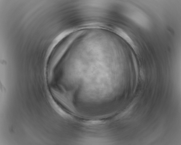 X0000090631482200708071235