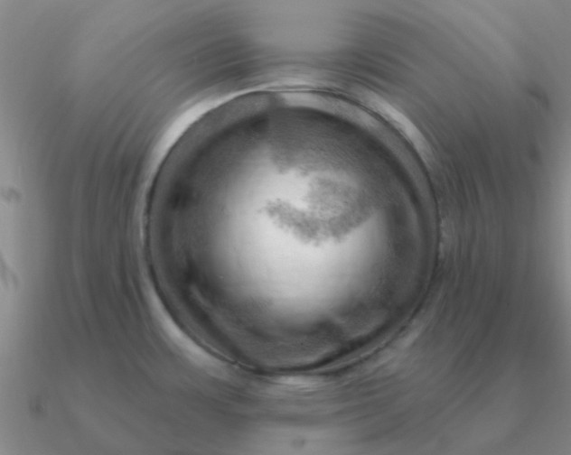 X0000090631483200708071235
