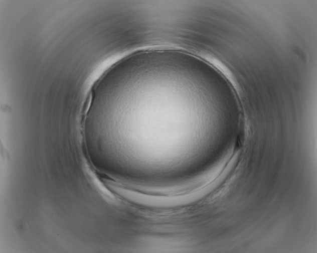 X0000090631485200708071235