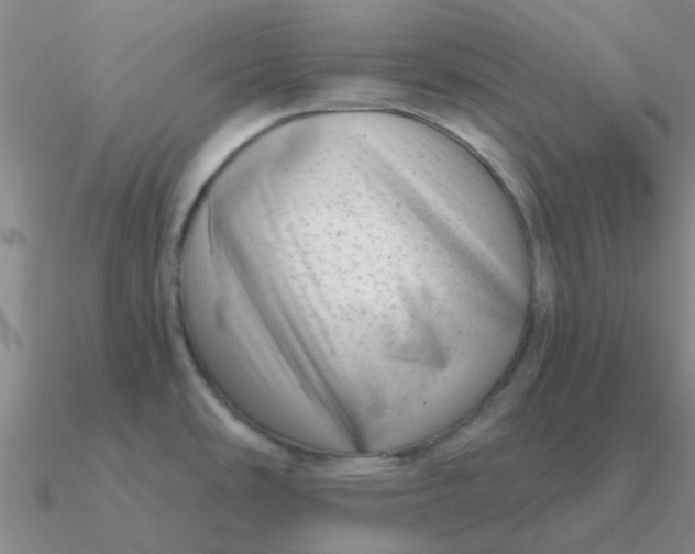 X0000090631486200708071235