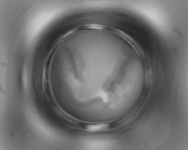 X0000090631487200708071235