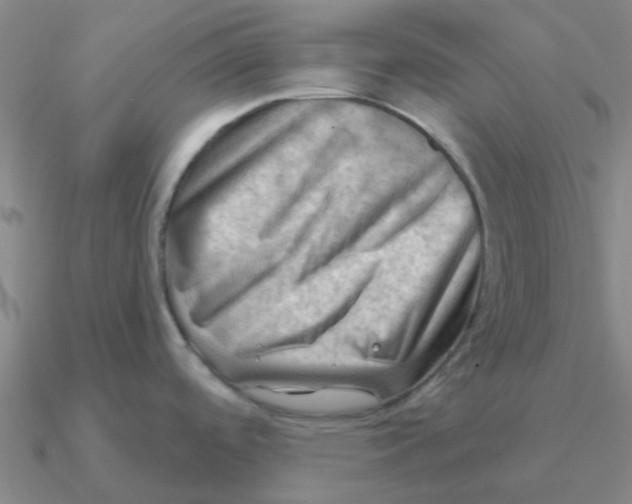 X0000090631488200708071235