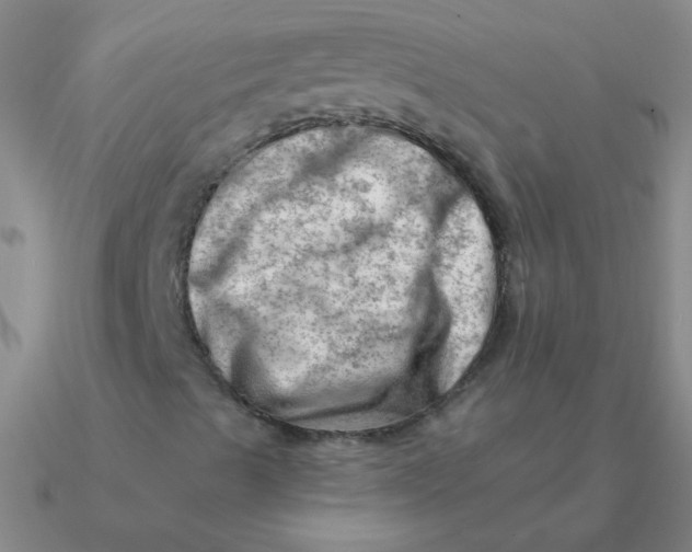 X0000090631489200708071235